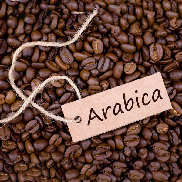 Sapphire Fine Coffee 100% Arabica 100g